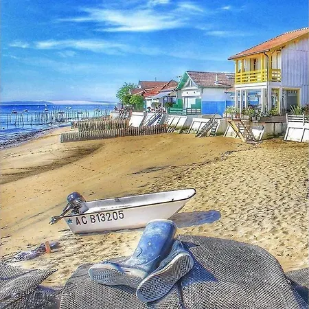Colibri Appart' T2 Au Coeur Du Bassin D'arcachon Daire