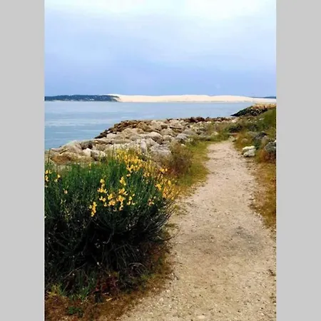 Colibri Appart' T2 Au Coeur Du Bassin D'arcachon
