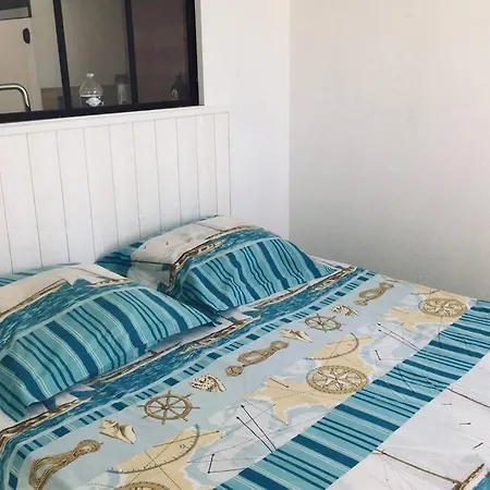 Colibri Appart' T2 Au Coeur Du Bassin D'arcachon