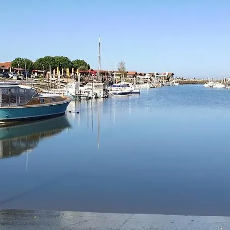 Colibri Appart' T2 Au Coeur Du Bassin D'arcachon Appartamento